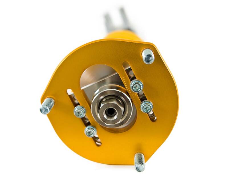 Ohlins Road & Track Coilover System for EVO X