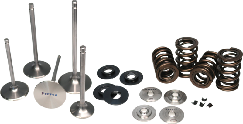 Ferrea 4B11T Dual Spring Kit for EVO X