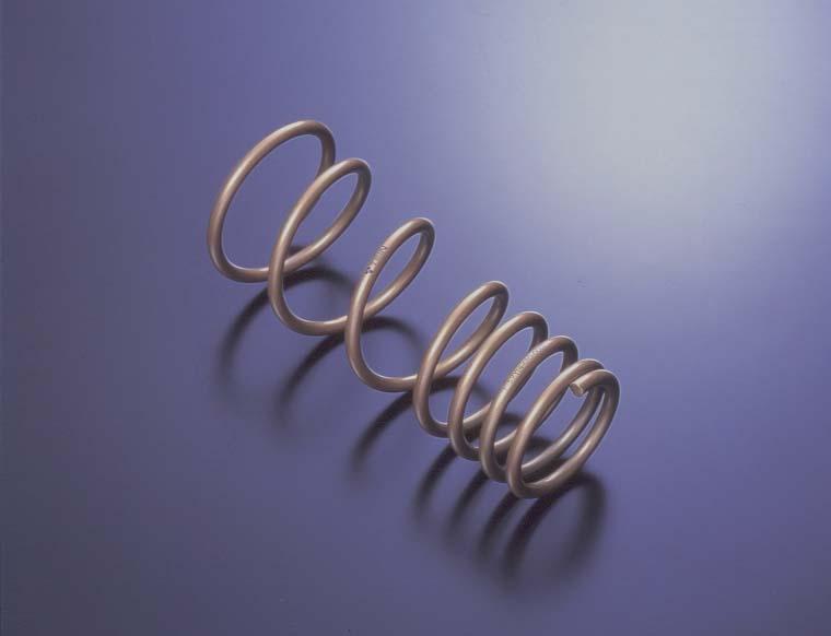 Tein OZ/ H. Tech Springs for Lancer Ralliart