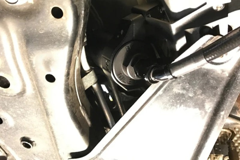 Radium Engineering Fuel Filter Mount and Filter Clamp for EVO X