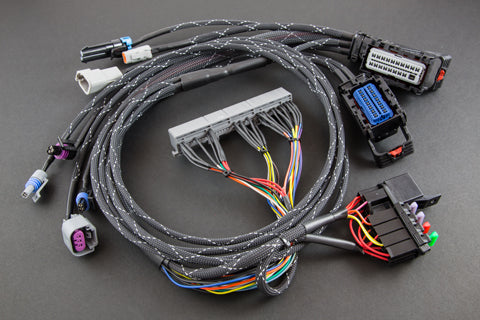 Boomslang AEM Infinity 708 EVO-260 Harness