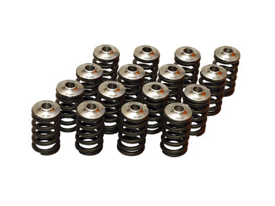 WORKS V-Springs and Ti-Retainers - EVO 8/9