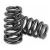 Kelford Beehive Valve Springs + Titanium Retainers - EVO 8/9