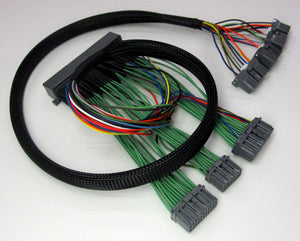 Boomslang e-Manage Ultimate Harness - EVO 9