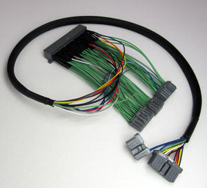 Boomslang e-Manage Blue Harness - EVO 8