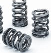 Supertech SPRK-M1015-EX2 Valve Springs Kit - EVO X