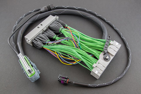 Boomslang AEM EMS-4 EVO8