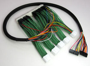 Boomslang AEM F/IC Harness - EVO 8