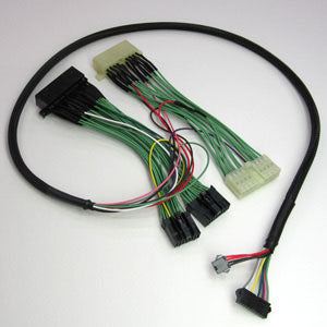 Boomslang A'PEXi AFC NEO Harness - EVO 8