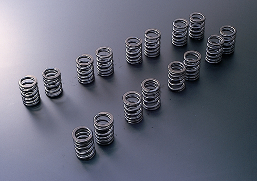 Tomei Valve Springs - EVO X