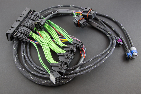 Boomslang MoTeC M800 EVO8-260 Harness